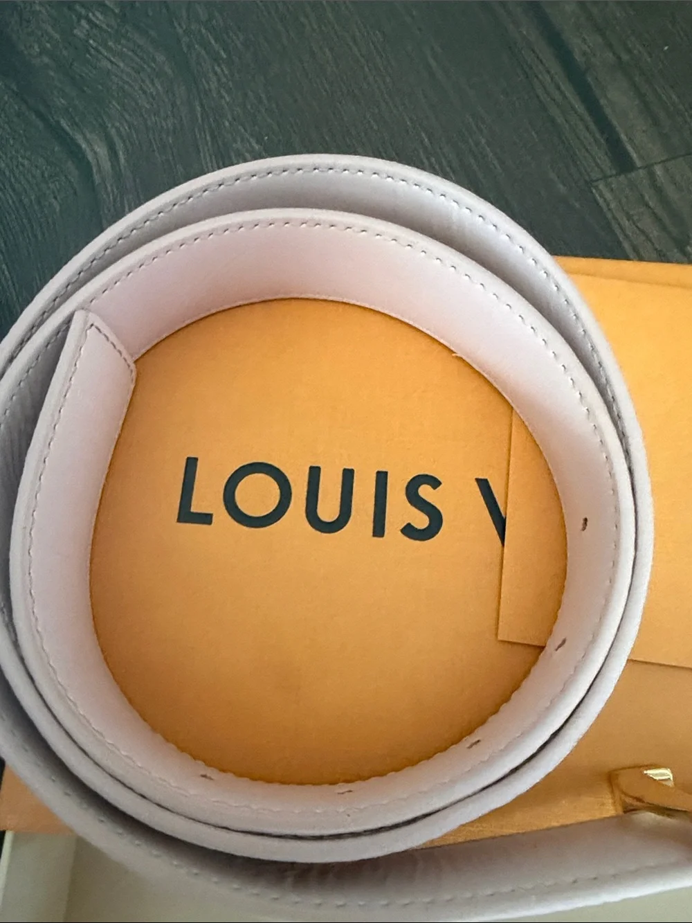 Louis Vuitton luxury louis
